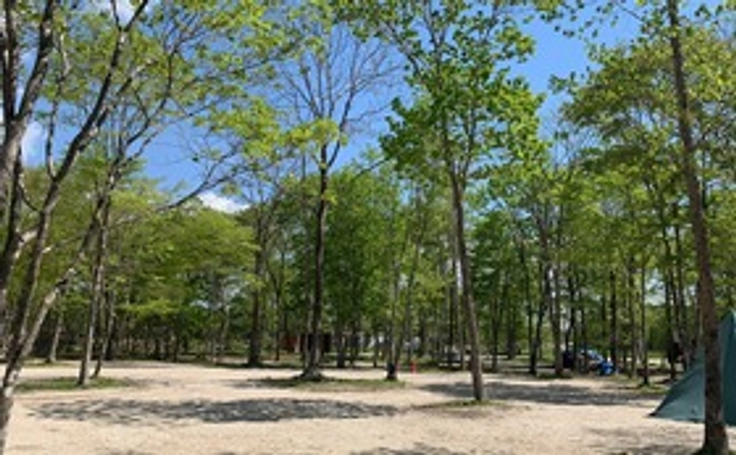 キャンプ場一泊ご利用券（フリーサイト）6名様までご利用できます。