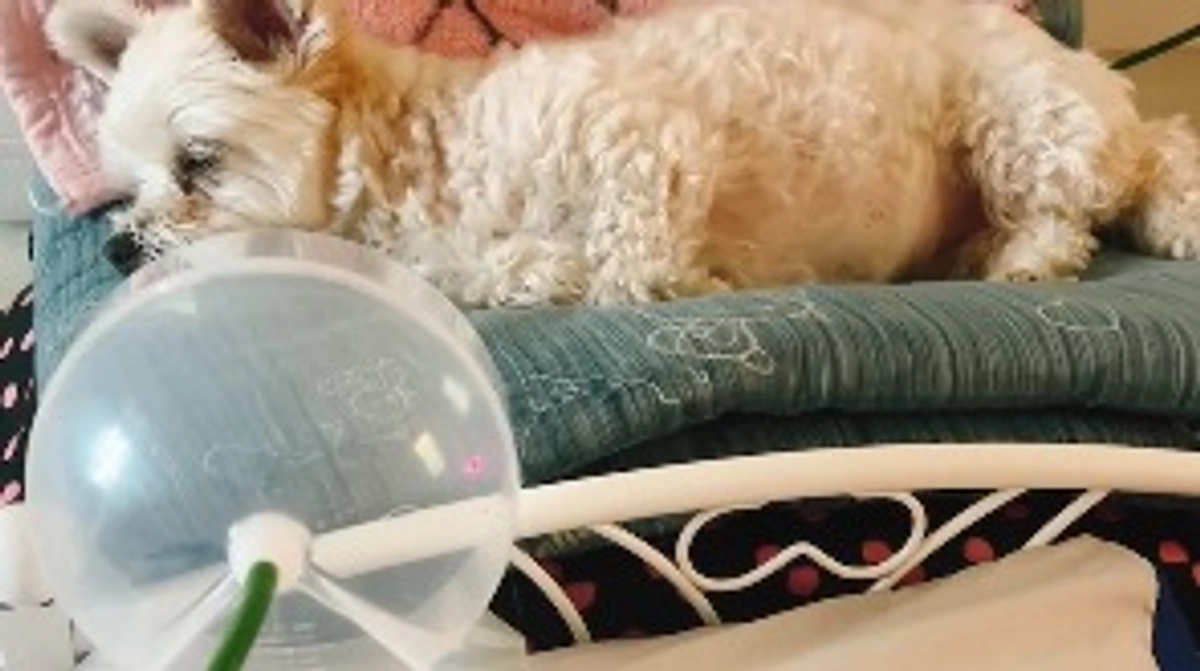 中間報告(残り28日)