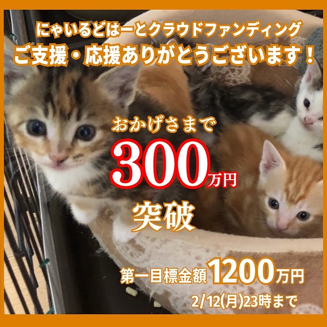 メリークリスマス