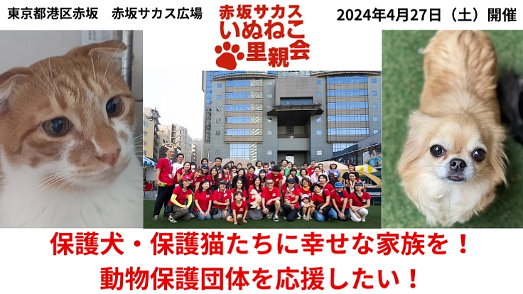 保護犬＆保護猫に幸せな家族を！譲渡会開催と保護団体の支援をしたい！