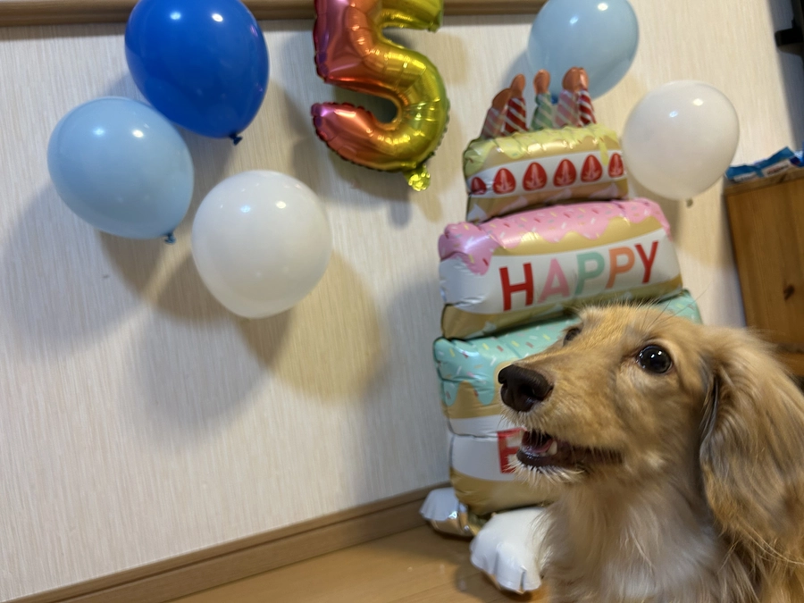 ５歳のお誕生日