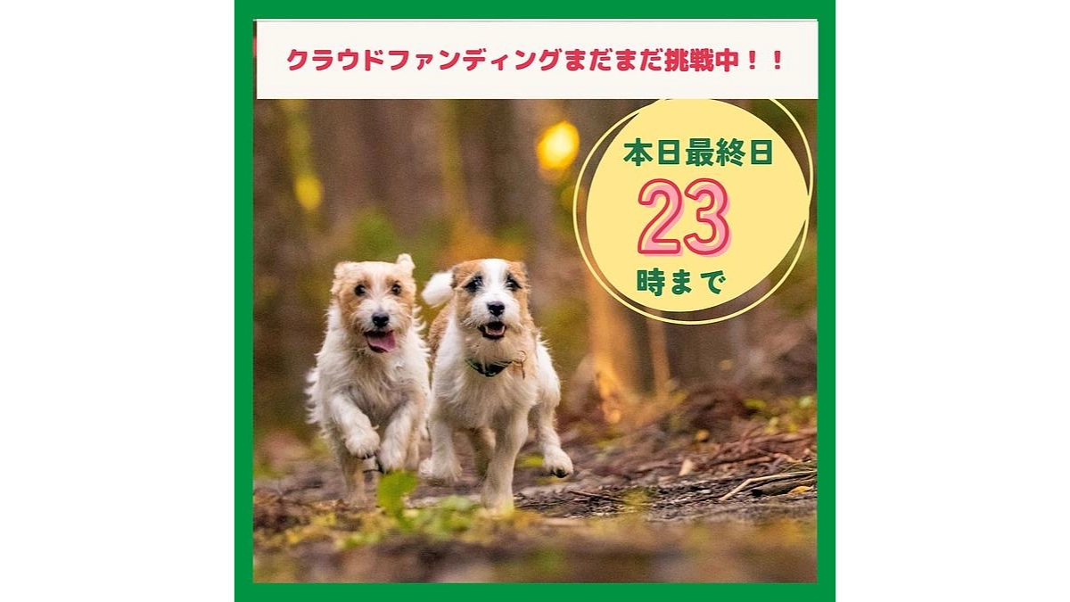 【ラストスパート】