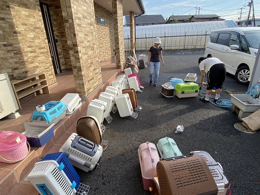 猫たちを運ぶキャリーを洗いました