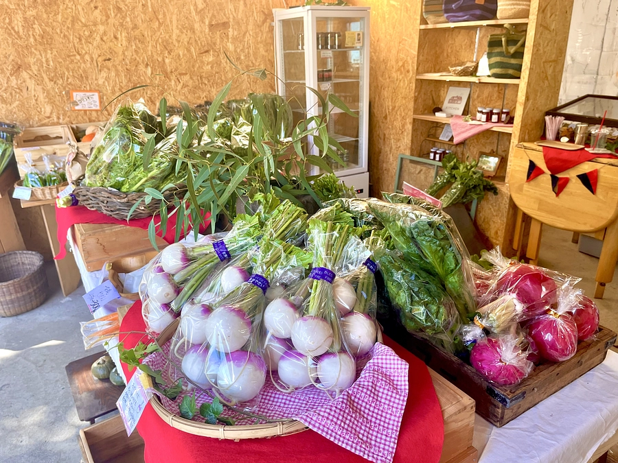 タンジョウファーム、バージョンアップ奮闘中　その３