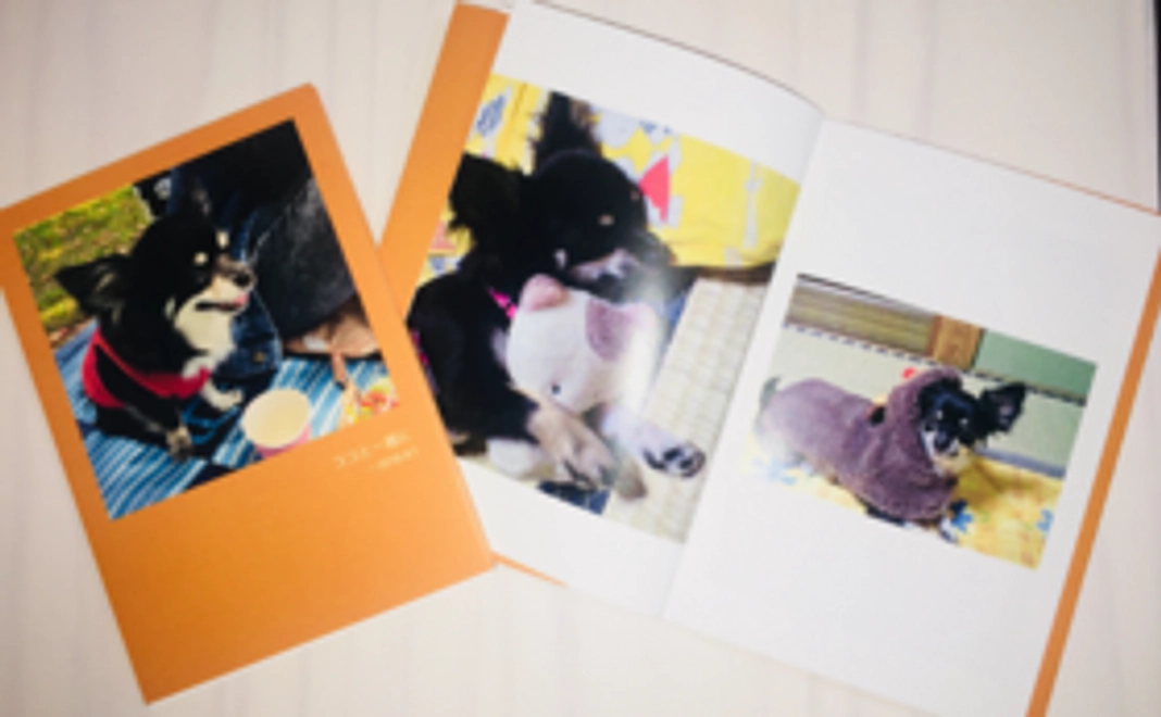 ココファミリーコース