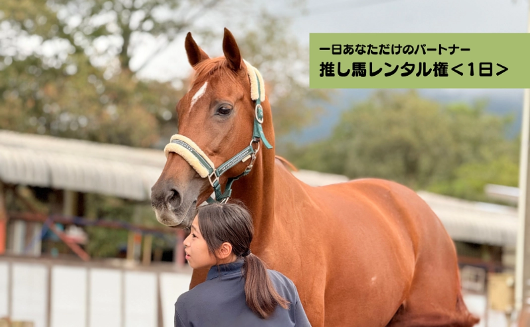 【一日あなただけのパートナー】1日 推し馬レンタル権