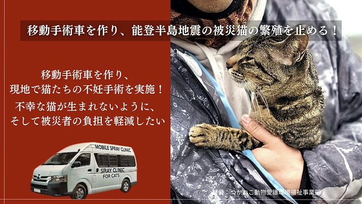 【緊急支援】能登半島地震の被災猫を救うため、移動手術車を作りたい! 8枚目