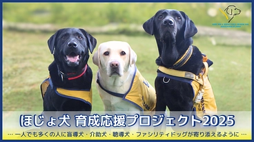 ほじょ犬育成応援プロジェクト2025｜一人でも多く寄り添えるように のトップ画像