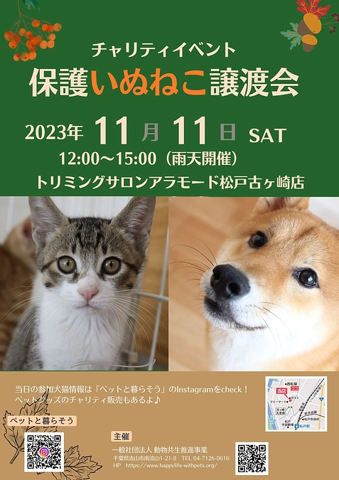 本日は譲渡会♪