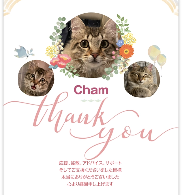 皆様への感謝と、投薬再開13日目のちゃむ