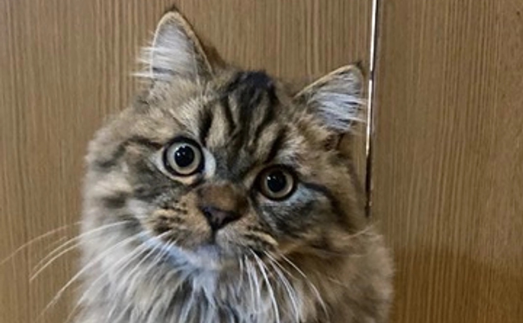 感謝のメール、あず君の活動報告。