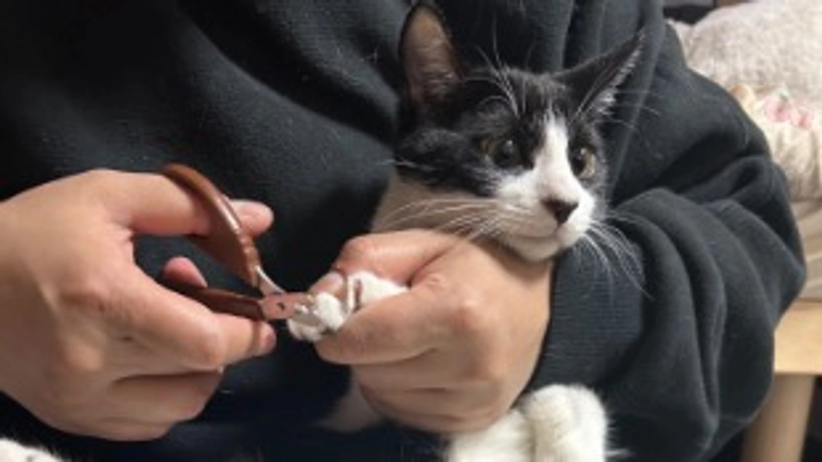 11月24日 〜 日常報告15 〜保護から93日目