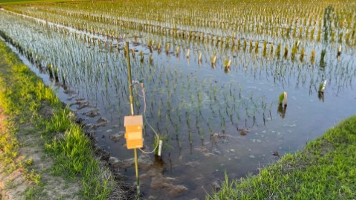 新潟県魚沼方面へ行ってきました。暑い日が続きますね。