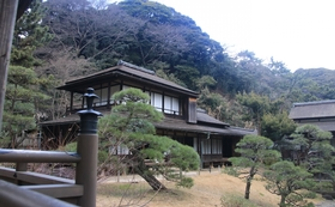 【三溪茶会】茶券コース