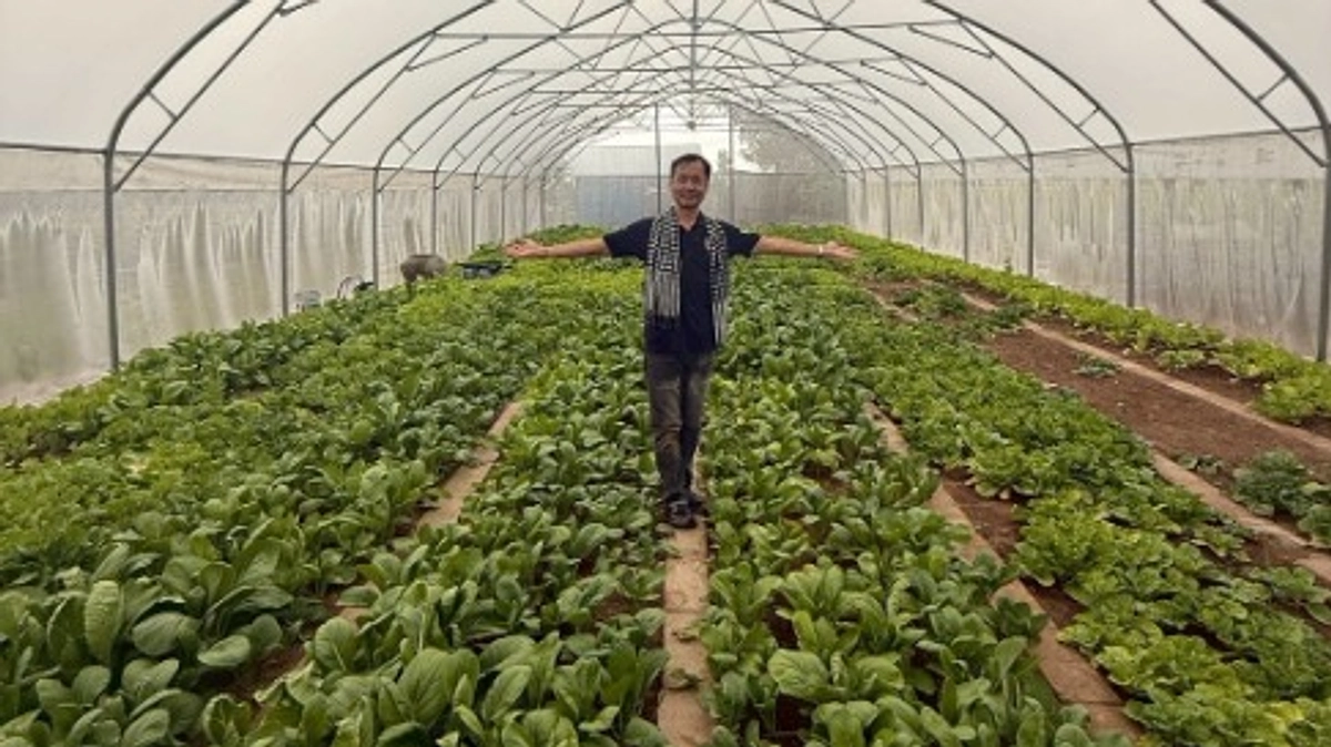 野菜の収穫と今後の展望