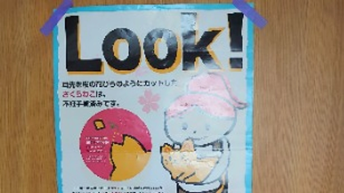 プロジェクト成立のお知らせ