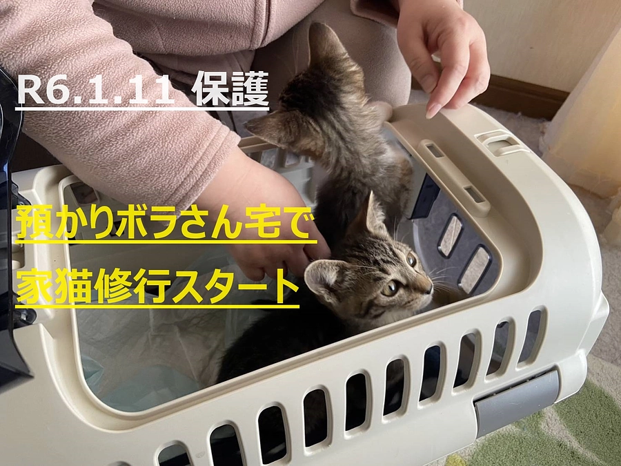 スタート３日目、皆さまのお気持ちに感謝！