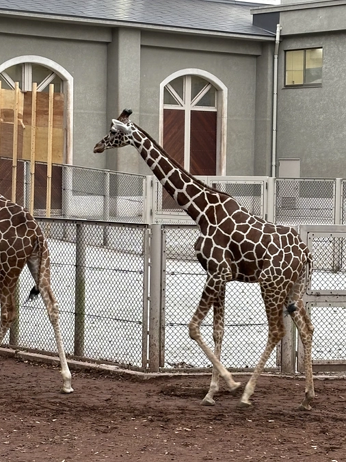 光に会えました！！