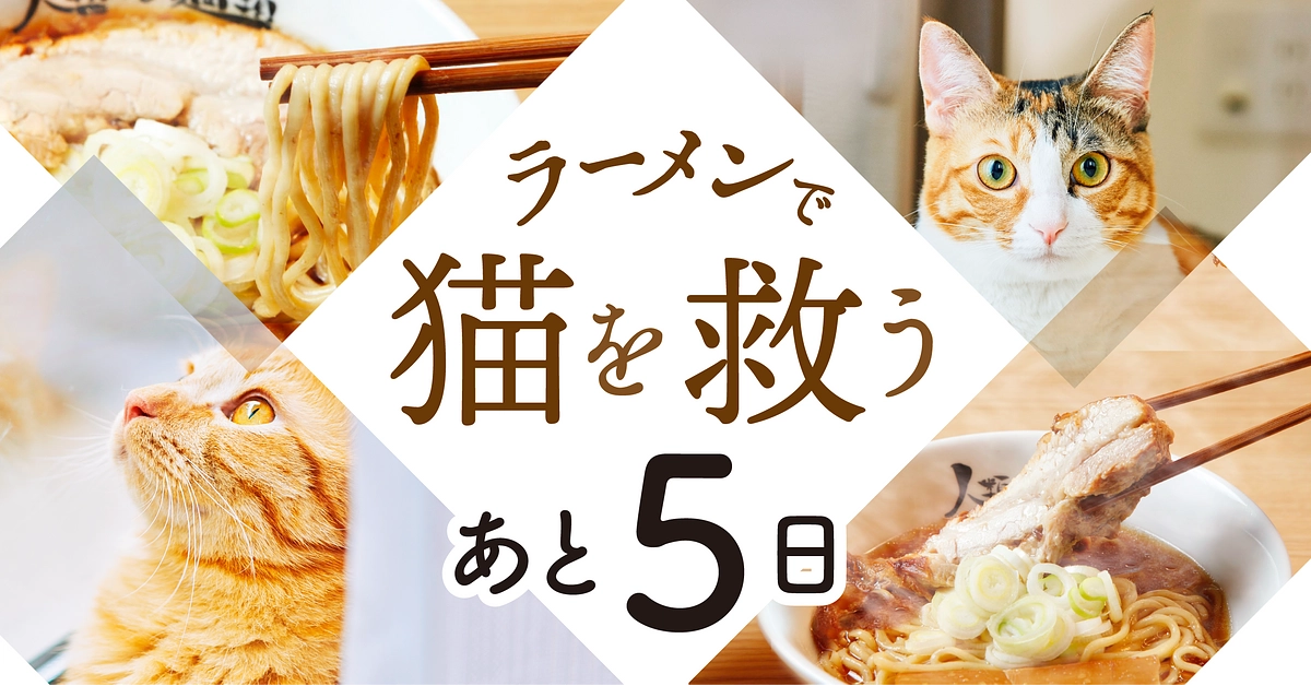 900万円を突破しました！