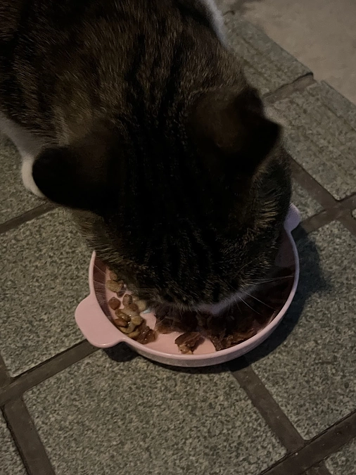 【活動報告】寒さ厳しい日