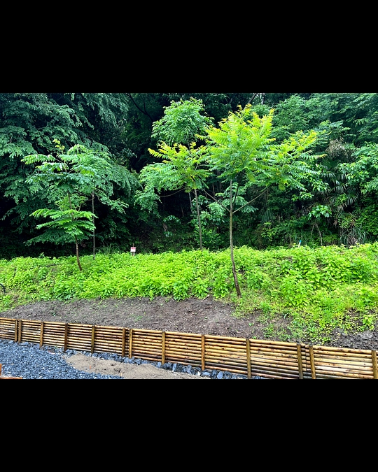 着々とOPEN準備が進んでます！