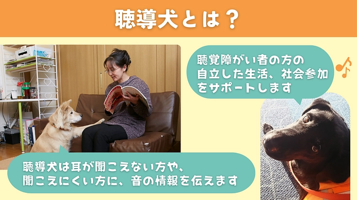 完成目前、ふじみ野市に聴導犬の育成・普及推進施設を建設したい！ 2枚目