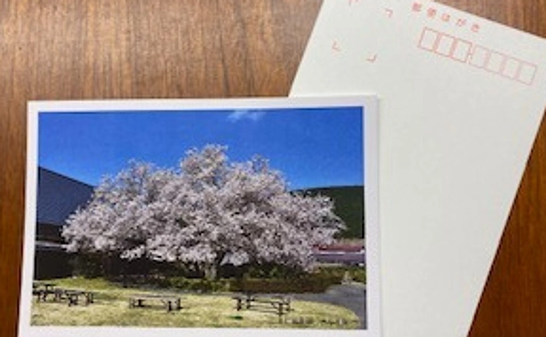 【税控除対象】感謝の絵葉書