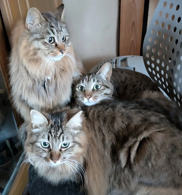 お買い求め頂きましたお客様から評価を頂きました。