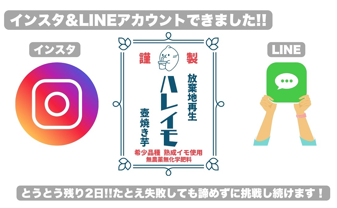 インスタ&LINEを開設しました！