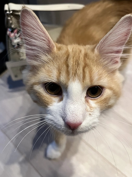 投薬56日目の様子