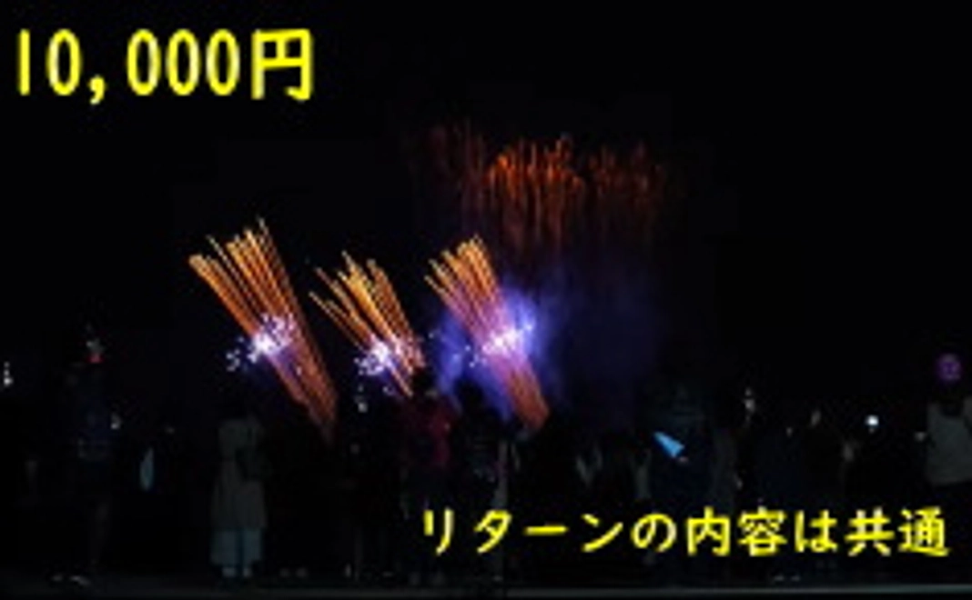 10,000円+システム利用料(220円)