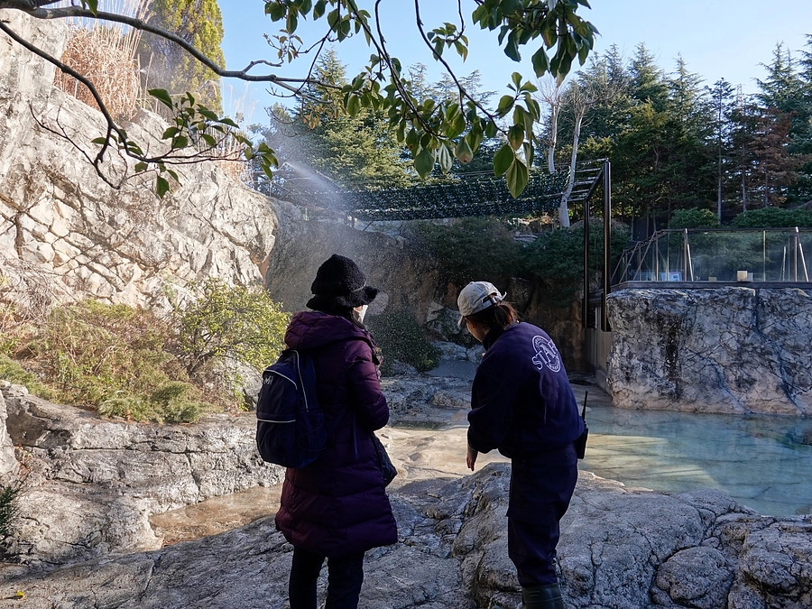 【実施しました】オットセイ朝のバックヤード見学会
