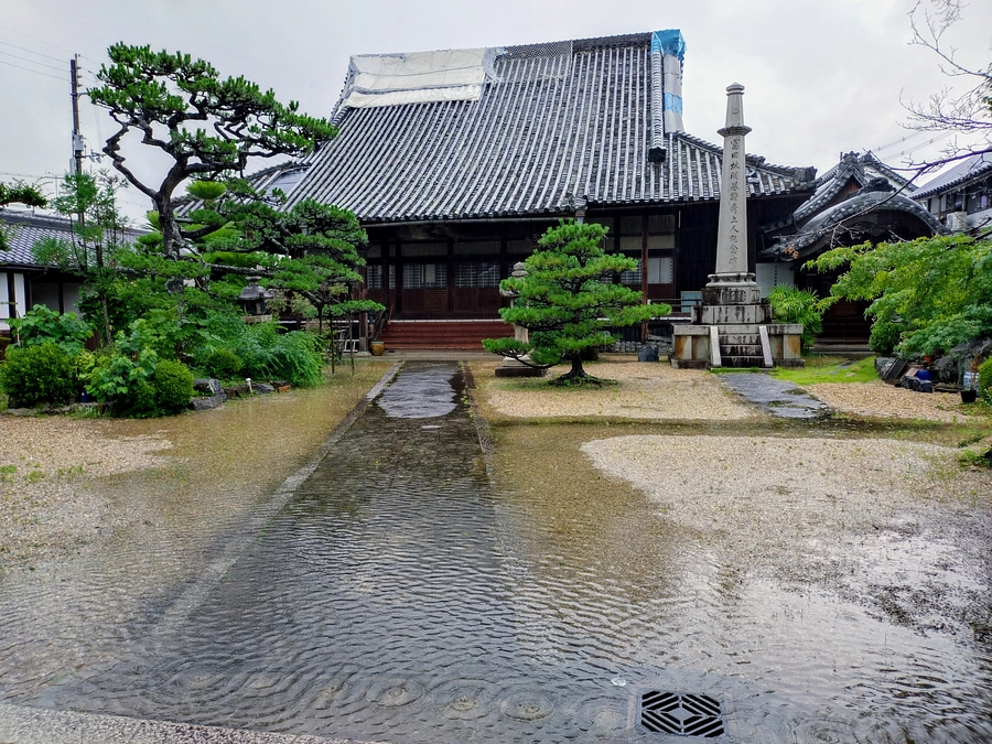調査の進捗と大雨の被害