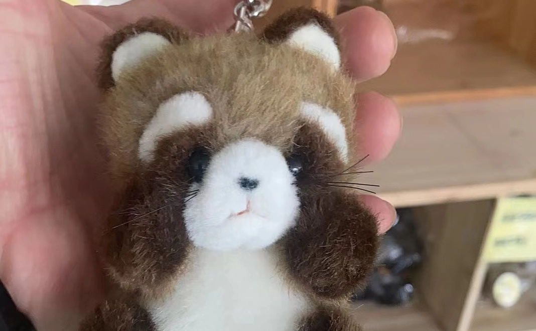 豊かな生活の為に、一人も取り残さないプロジェクトのマスコット