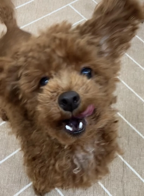 残り9時間です！！