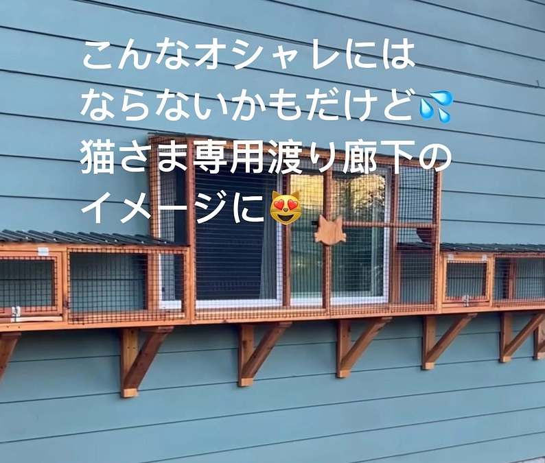 【残すところ９日です】第二ステップ猫さま専用渡り廊下などのイメージは。。。