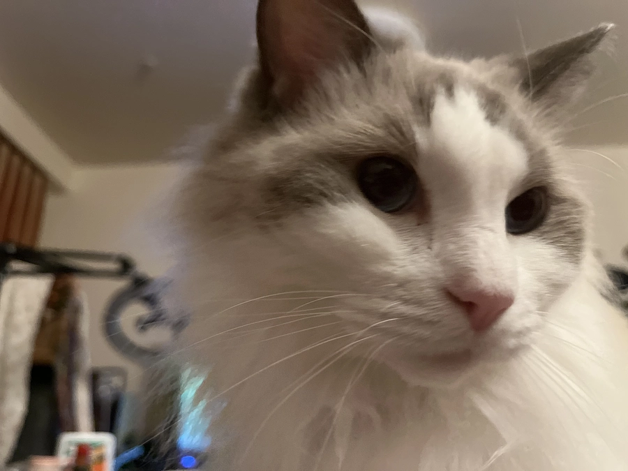 0924の血液検査結果を電話で聞きました