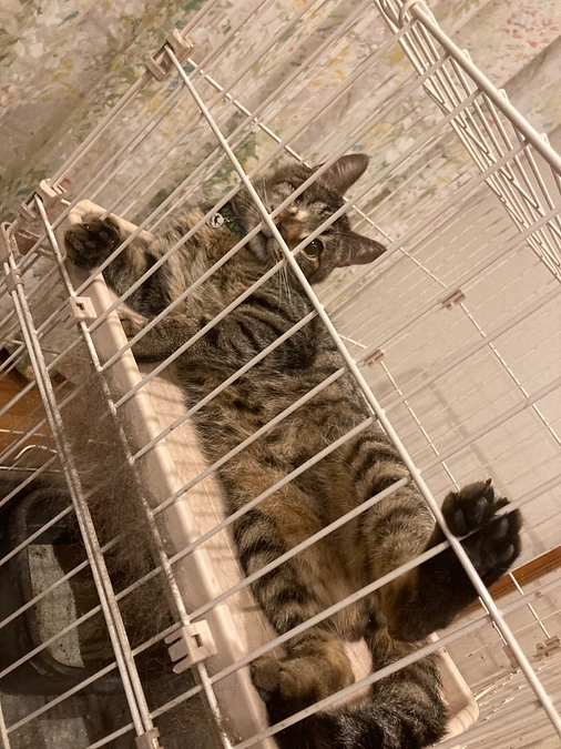 緊張感って言葉知ってる？