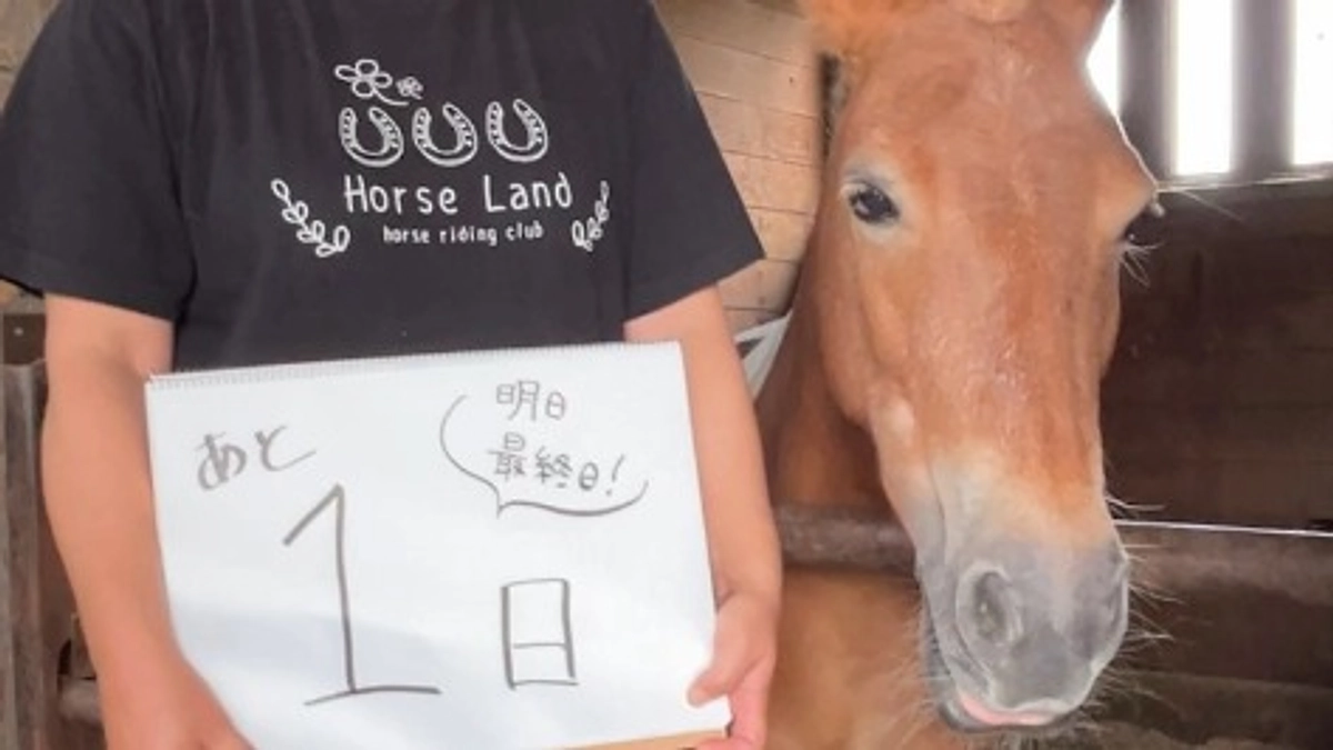 プロジェクト終了まであと1日！いよいよ明日が最終日。