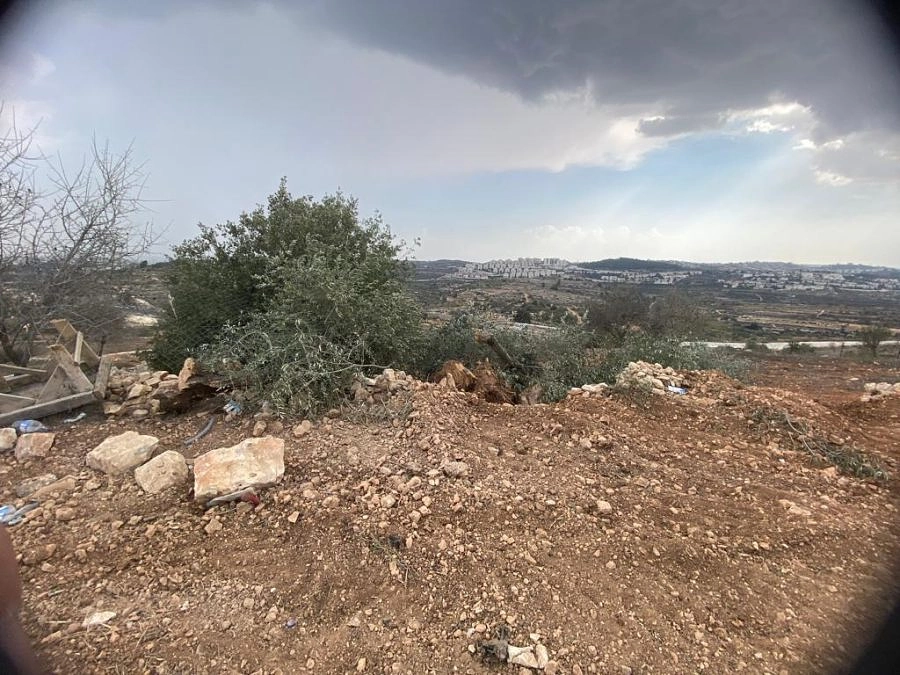 パレスチナ伝統石鹸を未来に繋ぐ！ パレスチナ最後の石鹸工場を救うために、無期限支援プロジェクトを再開