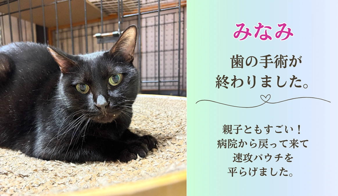 みなみ、歯の手術が終わりました。