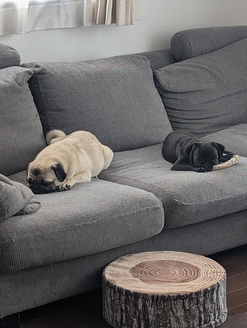 色々なカタチで…