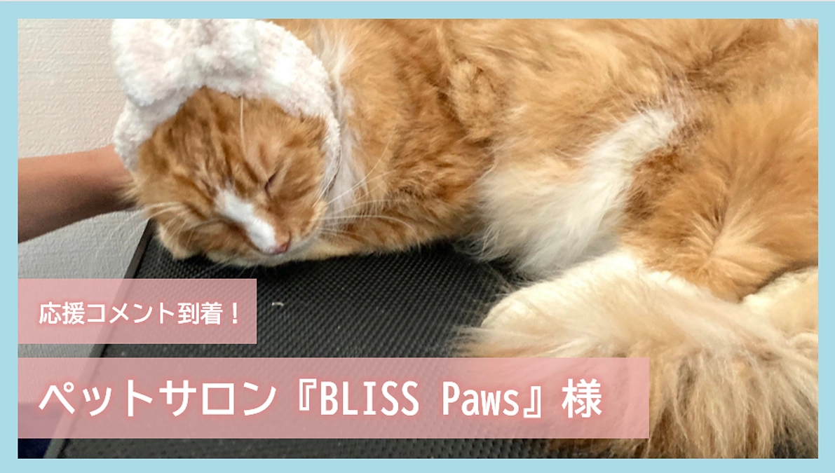 応援コメント到着！～ペットサロン『BLISS🐾Paws』様～