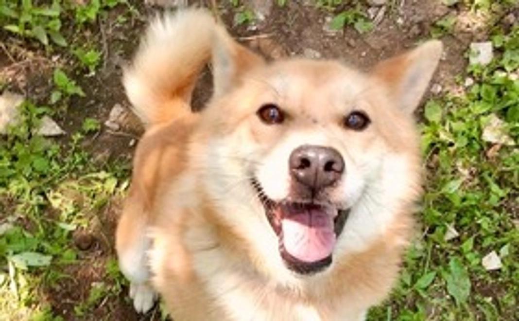 毎月支援 2.000円 コース