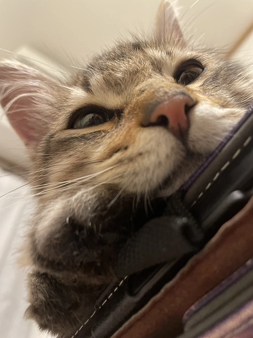 心からの感謝と、食べ過ぎで軟便続くちゃむ