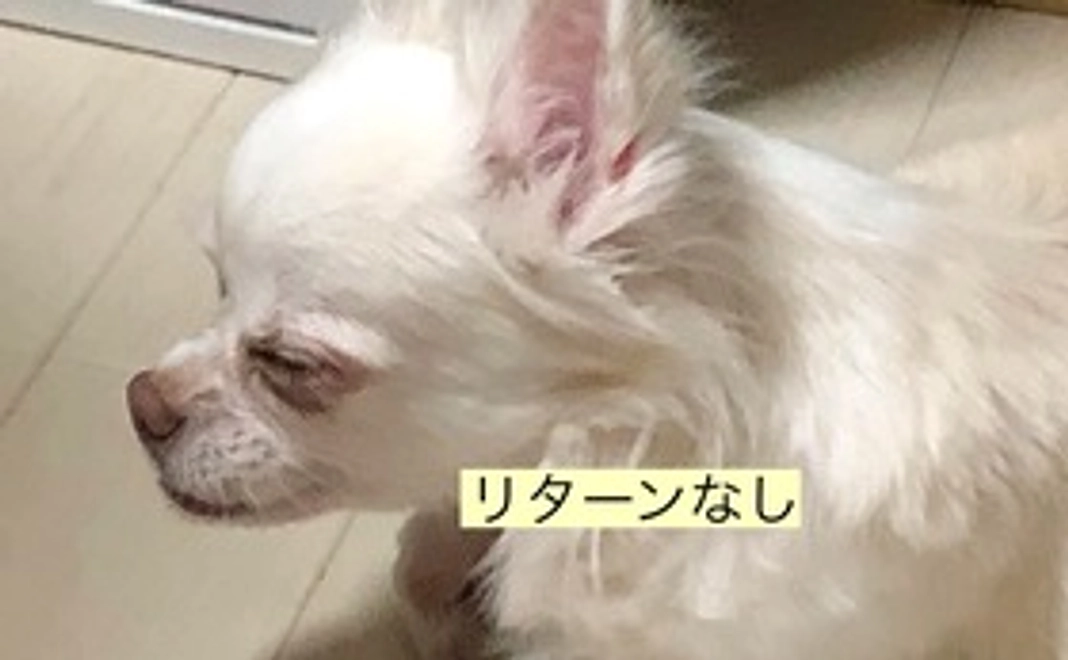 ゆずさん応援コース2(リターン不要の方)