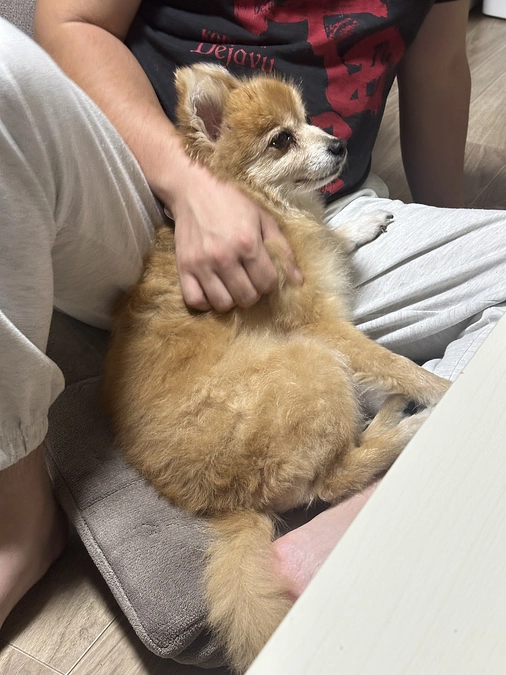 🆘残り46時間達成度63％🆘