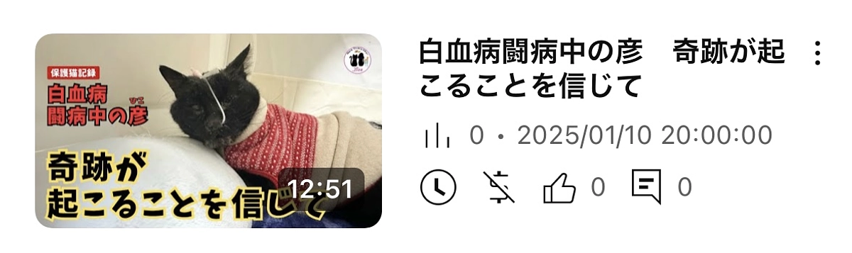 奇跡が起こることを信じて