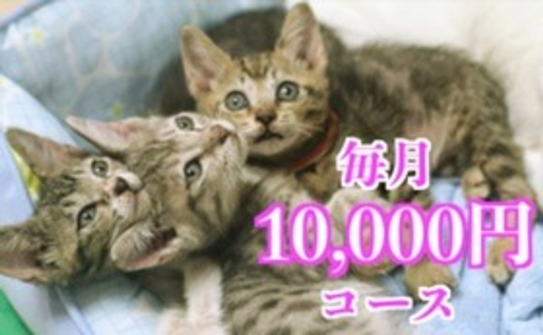 毎月応援10,000円コース