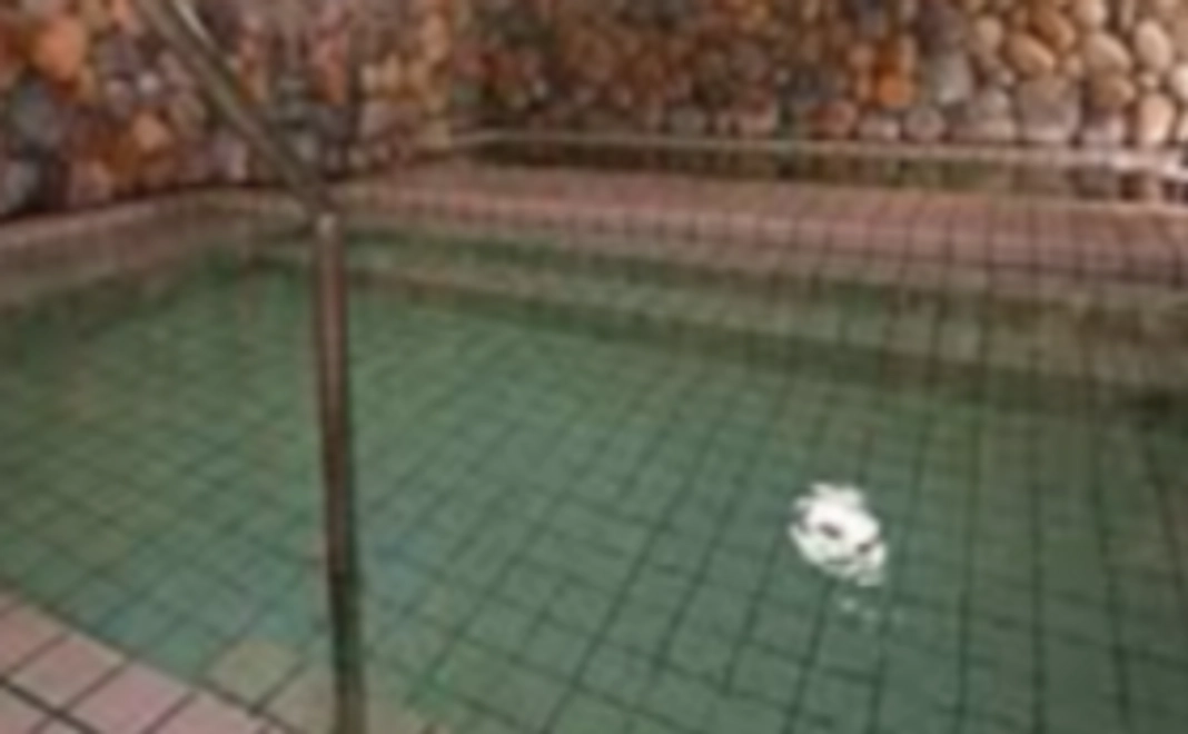 絆が深まる宿　和・国民宿舎仙酔島　日帰り共通入浴券　7枚組